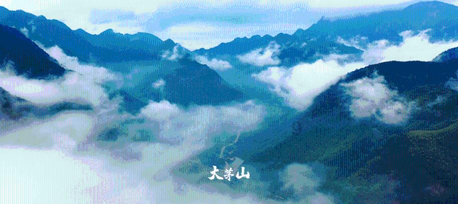 证监会：把公平性放在更加突出位置 优化完善减持、融券、转融通等制度规则